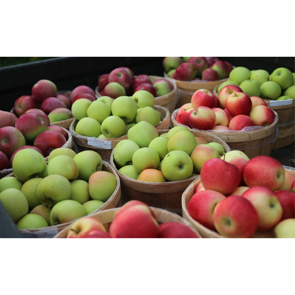 Edinboro Market Edinboro'd Fresh & Locally Grown Market